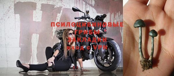 a pvp Арсеньев