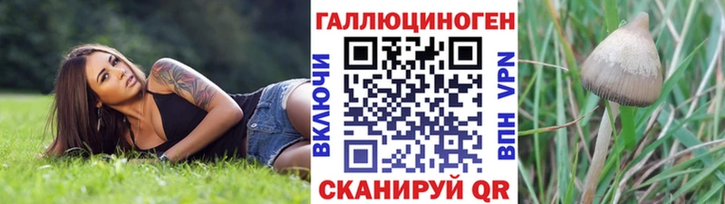Псилоцибиновые грибы ЛСД  Купить  Дегтярск 